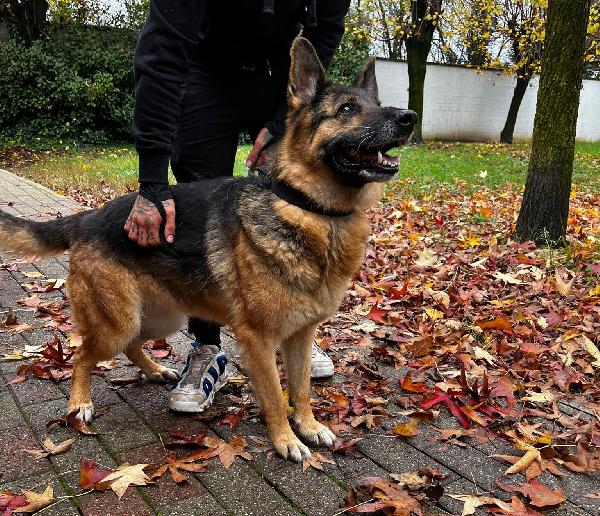 FEDERICA PASTORE TEDESCO Foto 2